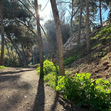 Apto Boutique En La Malagueta Málaga Dış mekan fotoğraf