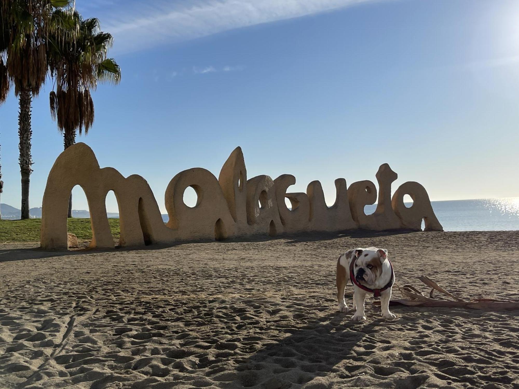 Apto Boutique En La Malagueta Málaga Dış mekan fotoğraf